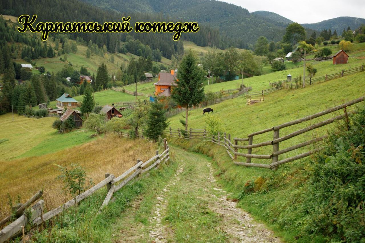 Карпатський Котедж Karpatian Cottage Vorokhta Extérieur photo