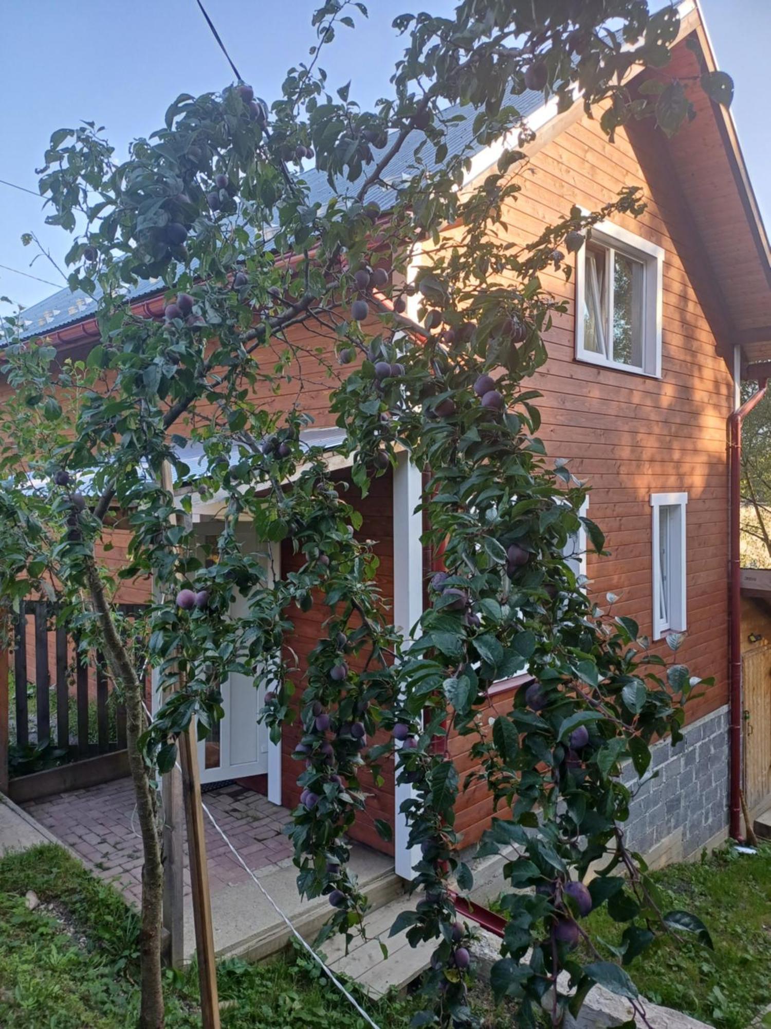 Карпатський Котедж Karpatian Cottage Vorokhta Extérieur photo